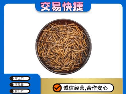 贵阳市开阳回收散虫草